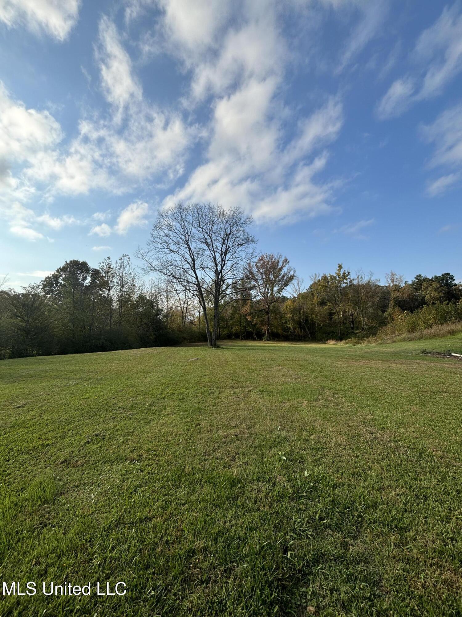 816 Chulahoma Road Holly Springs, MS 38635 - Photo 6 of 26 Photo Nov 04 2024, 3 09 57 PM