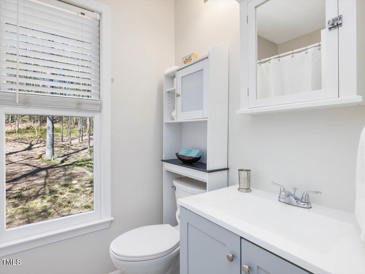 4818 Glendarion Drive Durham, NC 27713 - Photo 36 of 44 a bathroom with a sink a toilet and vanity