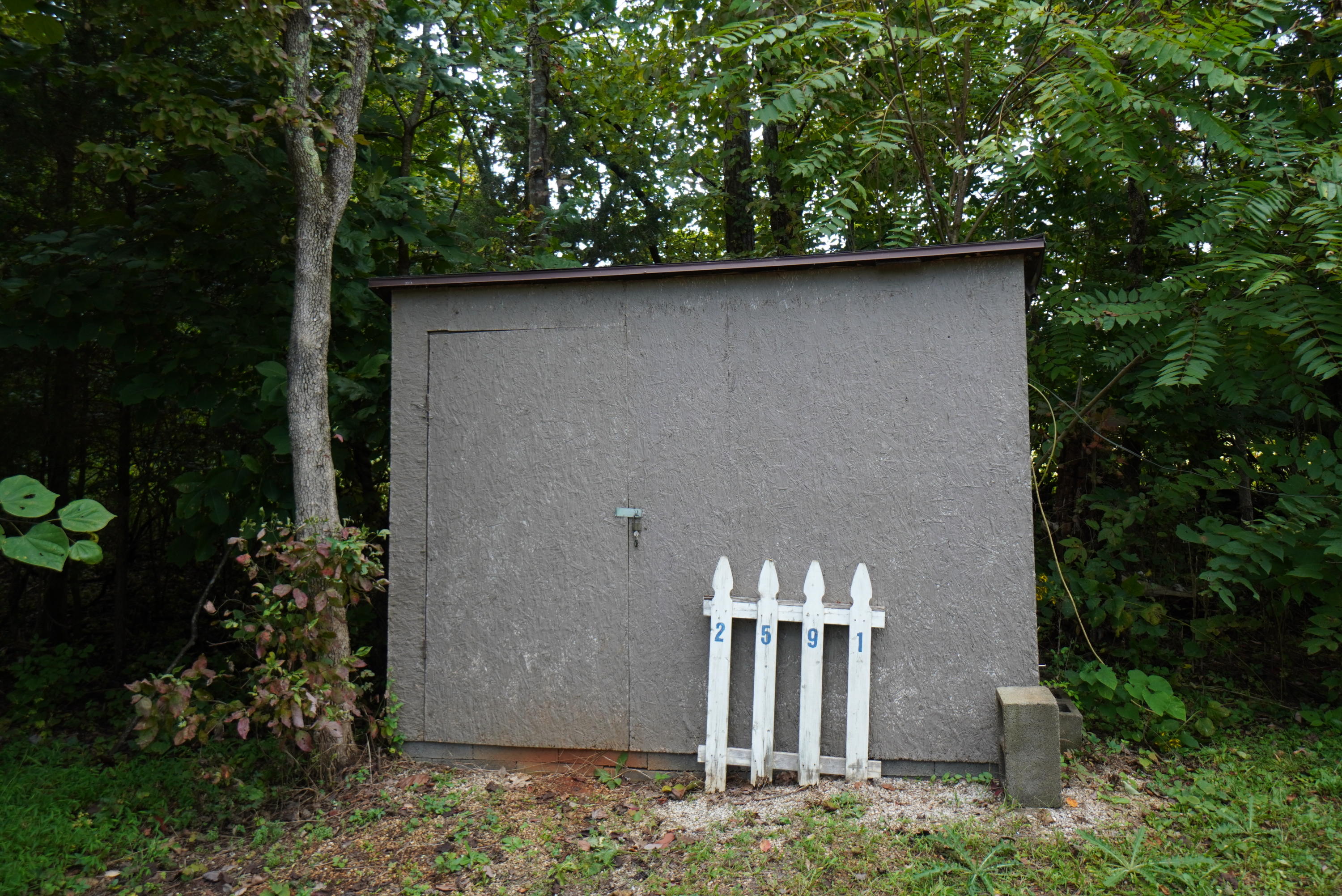 2591 Cochran Road New Market, TN 37820 - Photo 23 of 39 cochran (13)