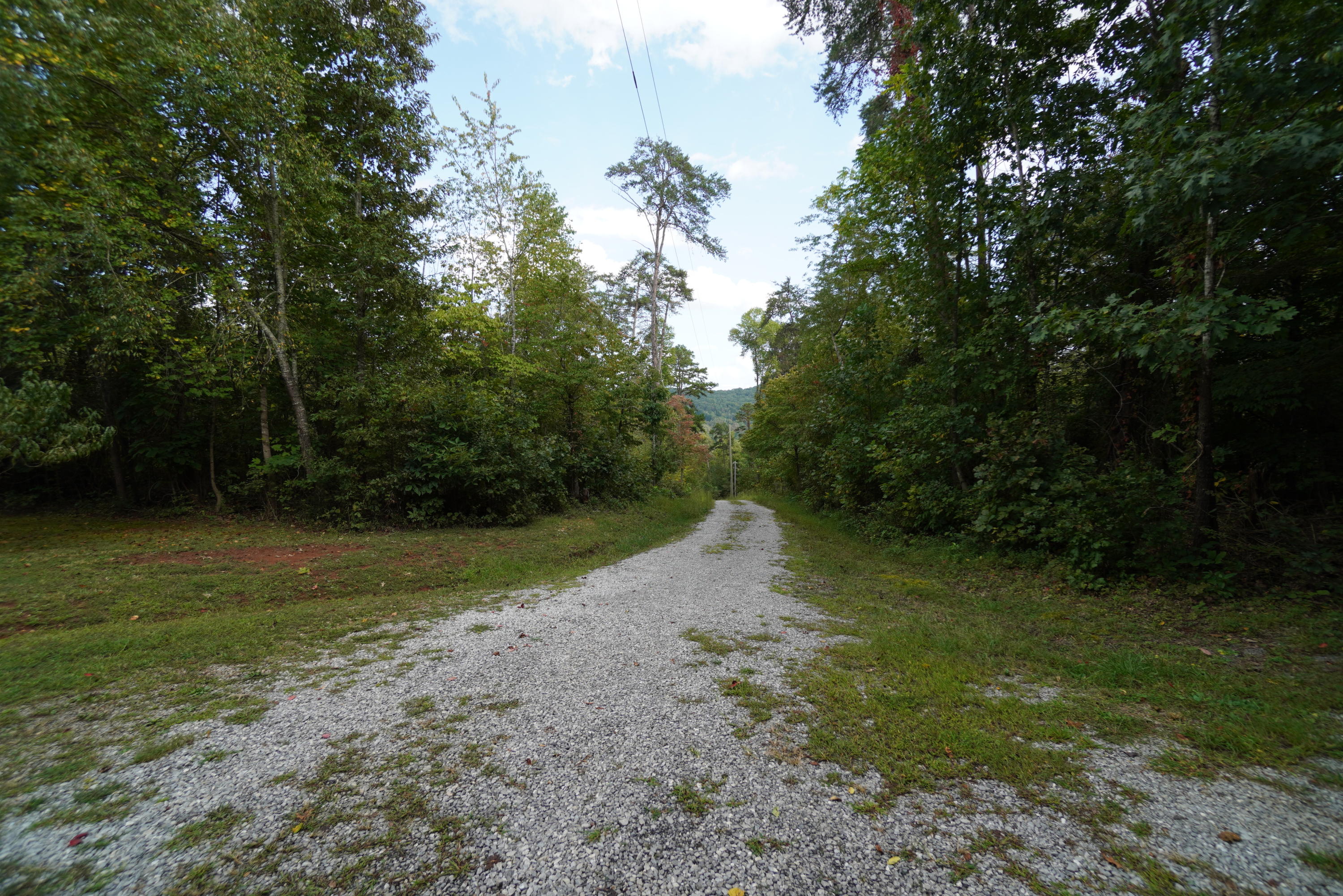 2591 Cochran Road New Market, TN 37820 - Photo 24 of 39 cochran (14)