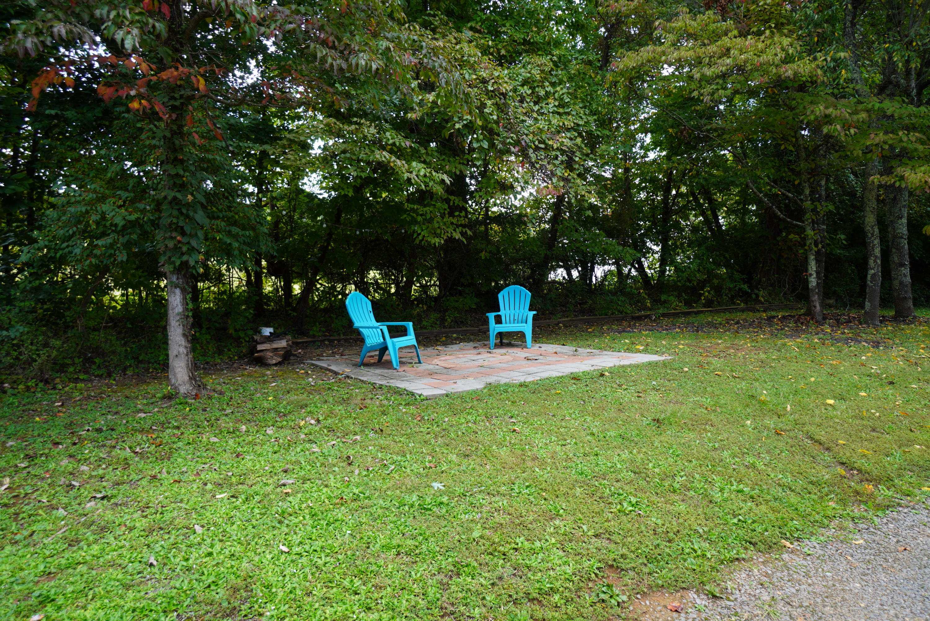 2591 Cochran Road New Market, TN 37820 - Photo 26 of 39 cochran (16)