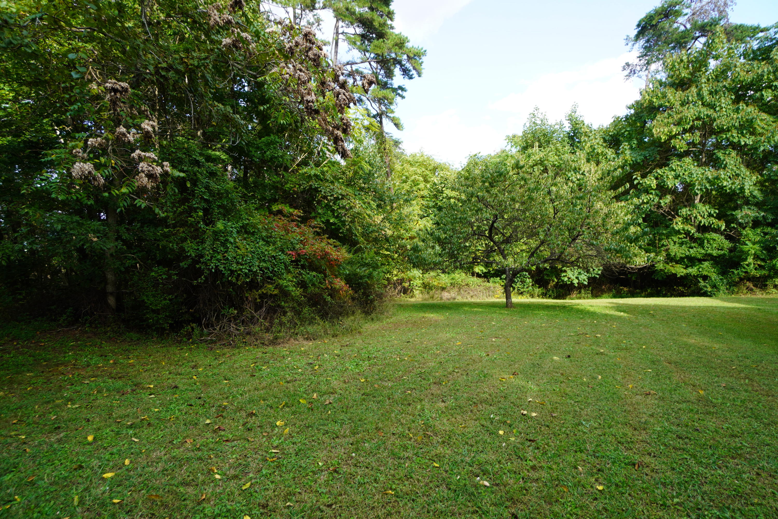 2591 Cochran Road New Market, TN 37820 - Photo 30 of 39 cochran (20)