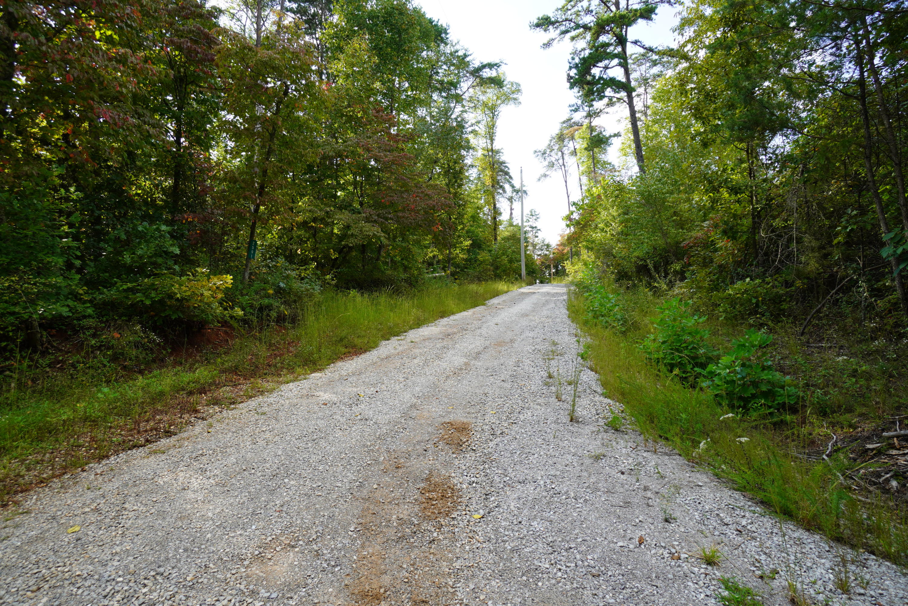 2591 Cochran Road New Market, TN 37820 - Photo 35 of 39 cochran (26)