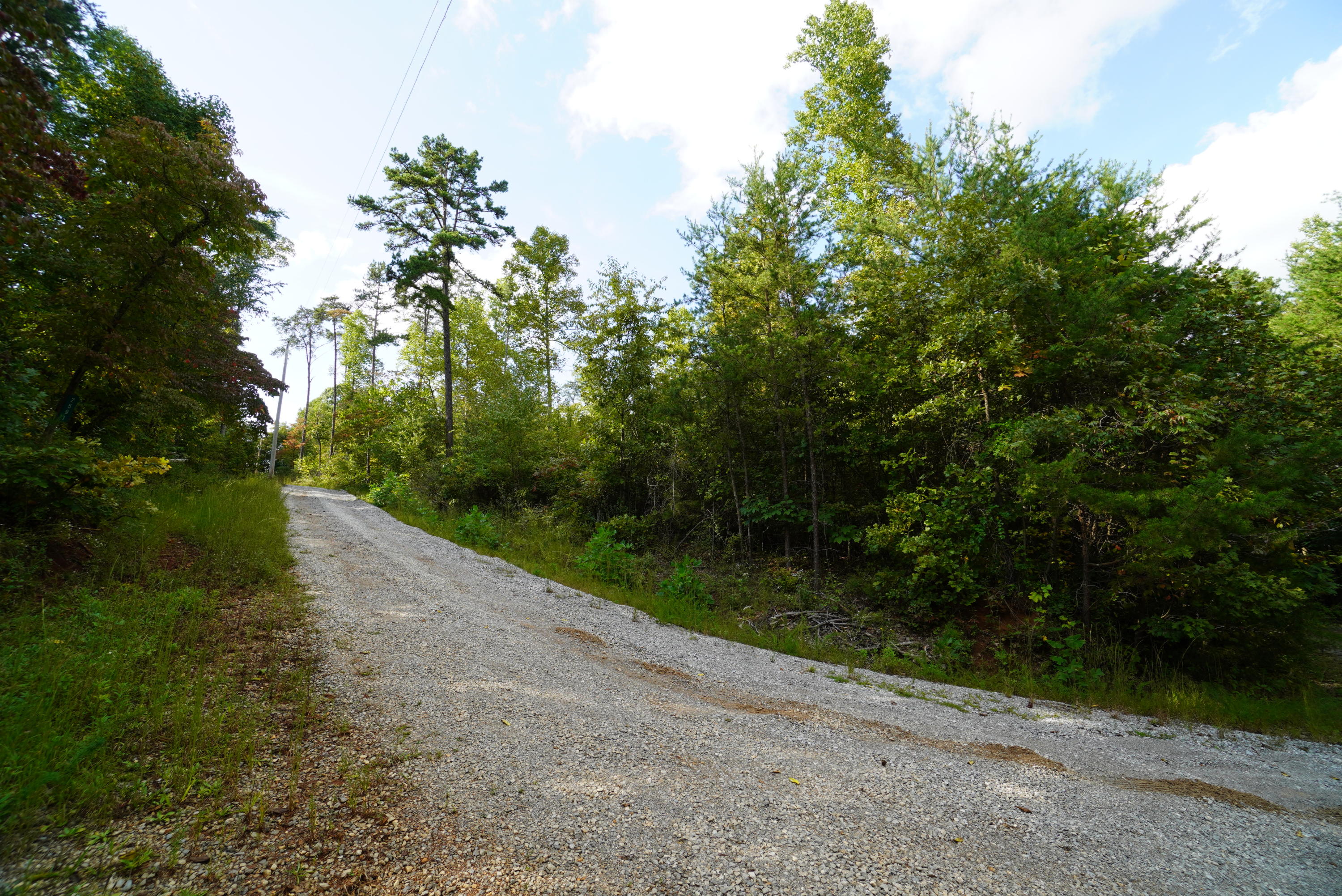2591 Cochran Road New Market, TN 37820 - Photo 36 of 39 cochran (27)