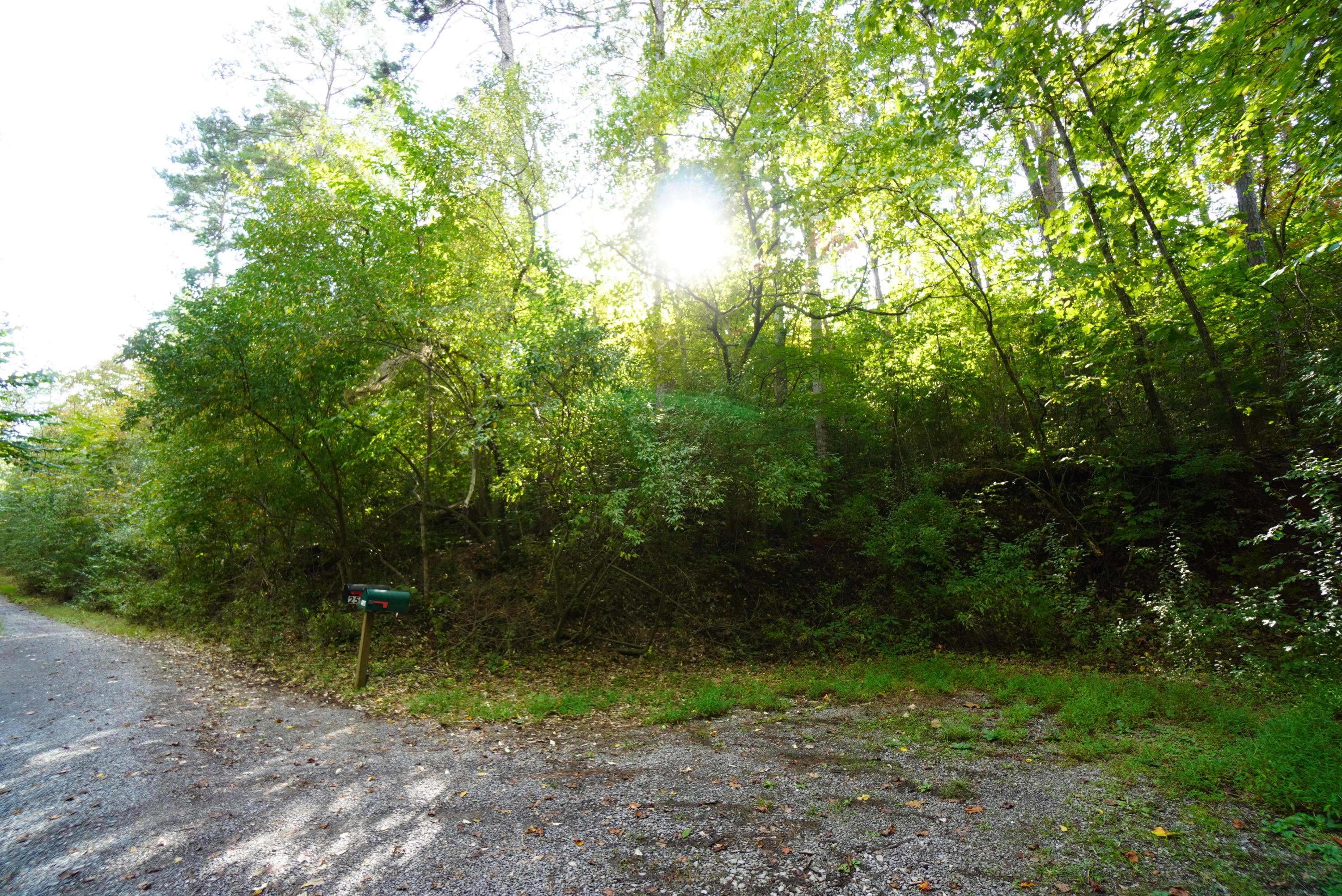 2591 Cochran Road New Market, TN 37820 - Photo 38 of 39 cochran (29)
