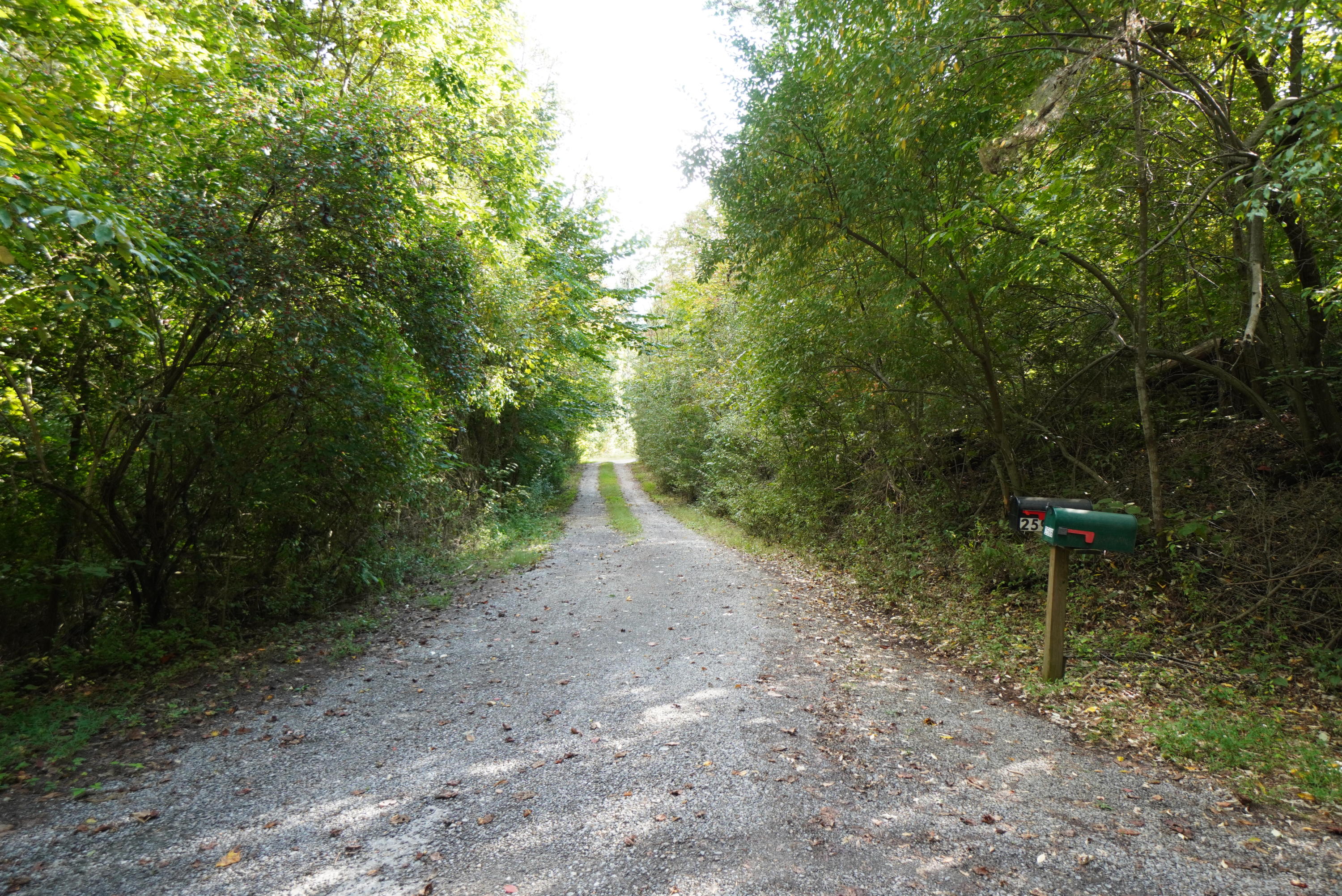 2591 Cochran Road New Market, TN 37820 - Photo 39 of 39 cochran (30)