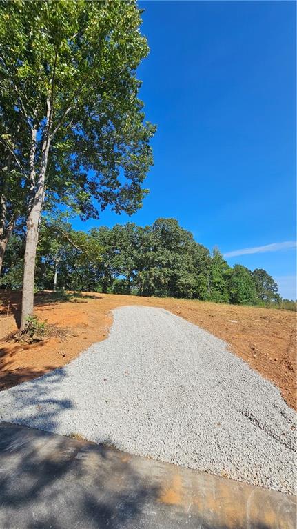 Lot 2 Snote Jones Road Dallas, GA 30132 - Photo 12 of 22 Gallery Image 12