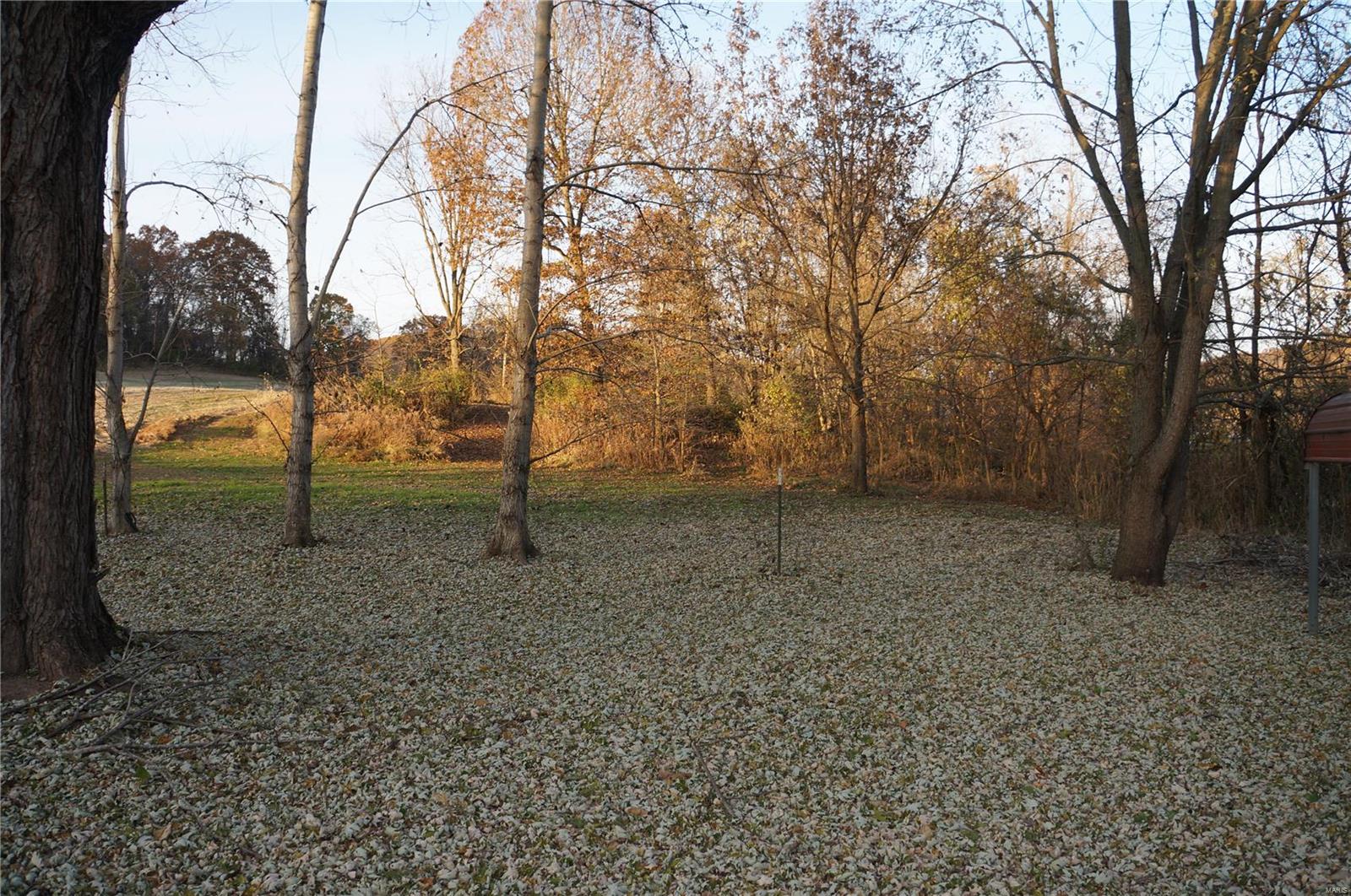 525 Stearns Hollow Road Nebo, IL 62355 - Photo 3 of 42 Gallery Image 3