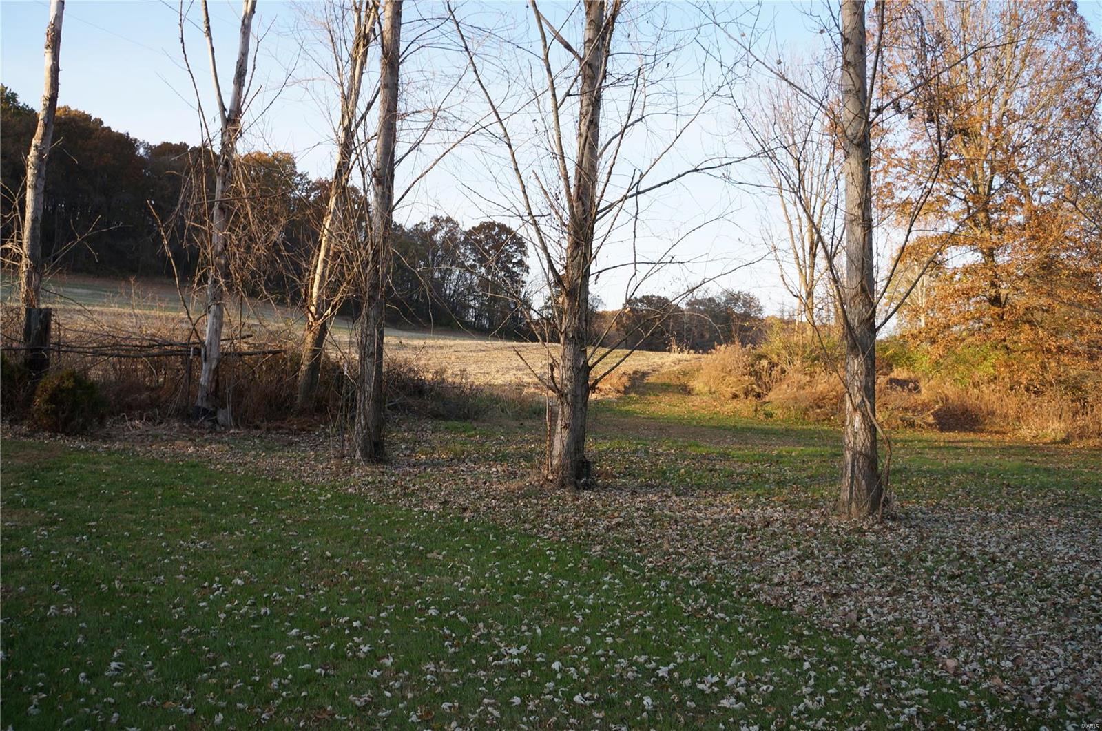 525 Stearns Hollow Road Nebo, IL 62355 - Photo 5 of 42 Gallery Image 5