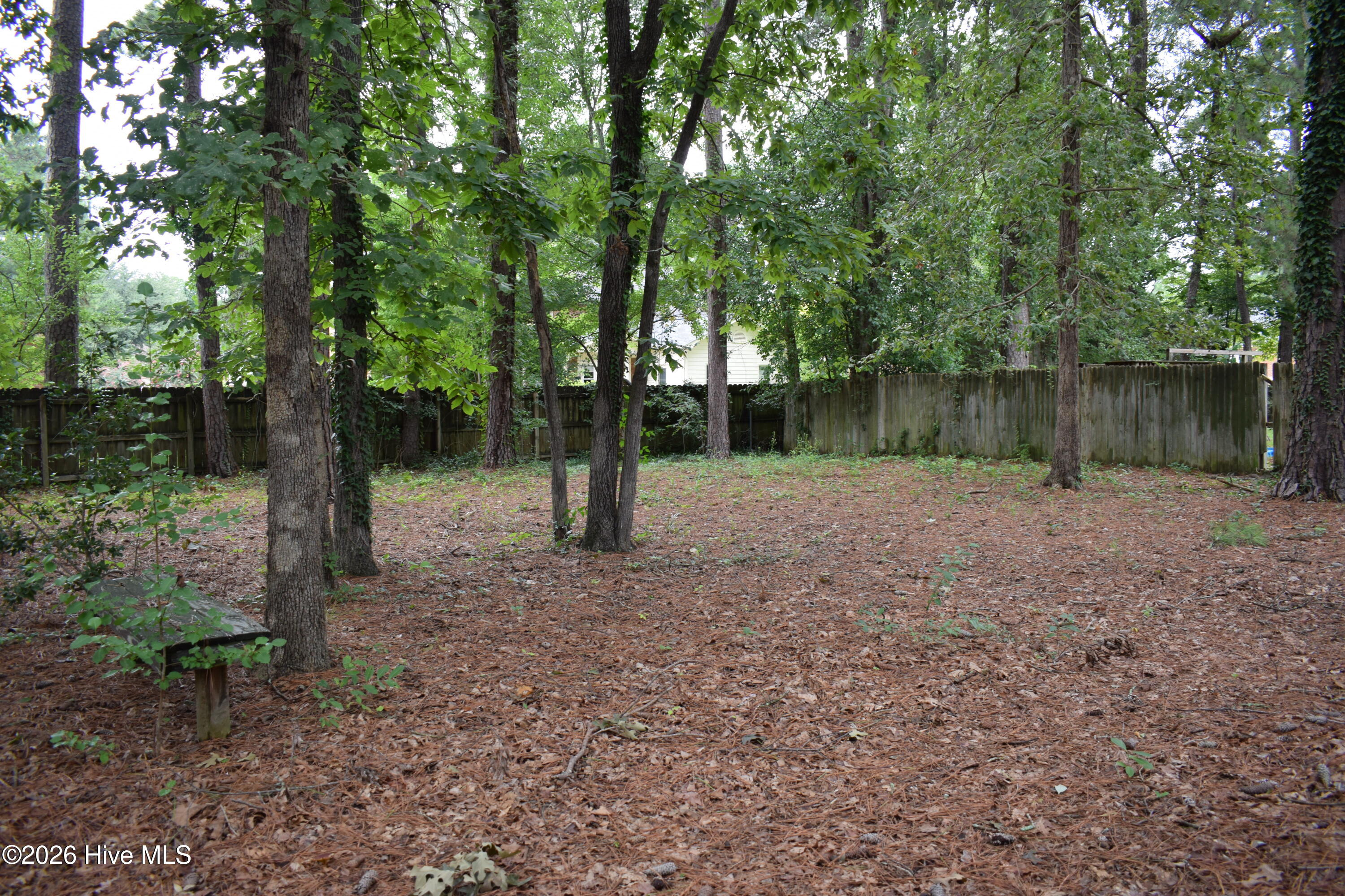 4139 Fair Oaks Road Martinez, GA 30907 - Photo 22 of 25 backyard