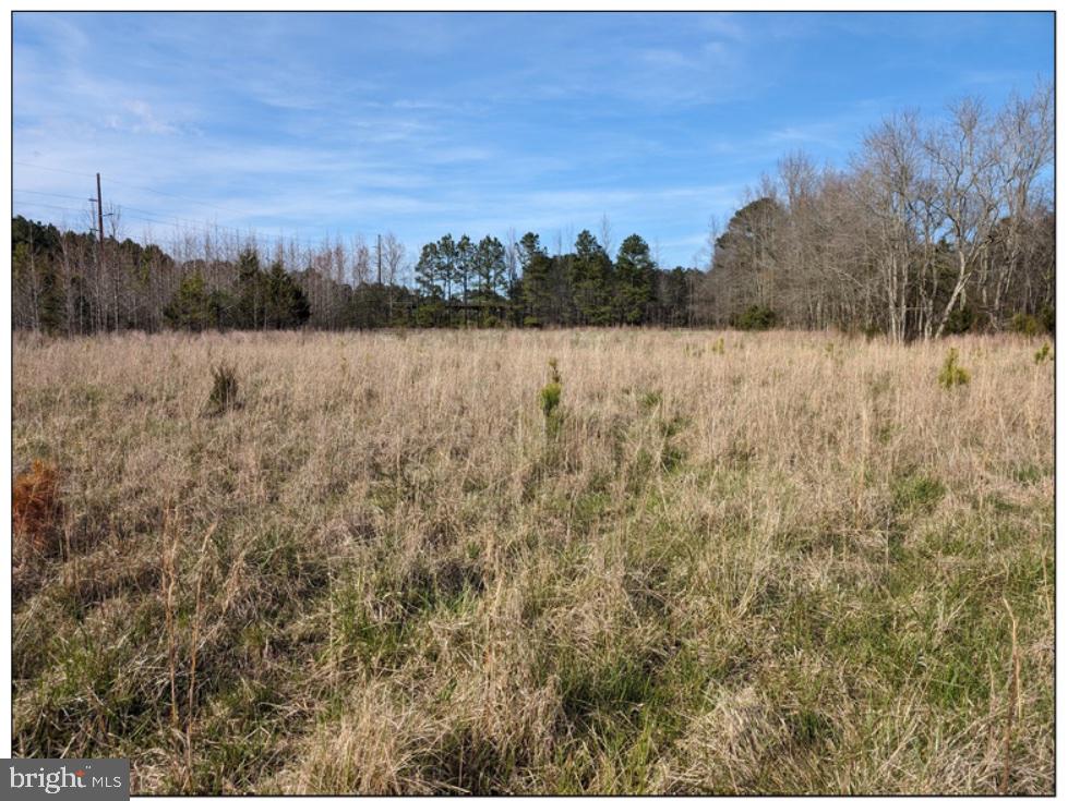 0 Old Eden Road Eden, MD 21822 - Photo 12 of 13