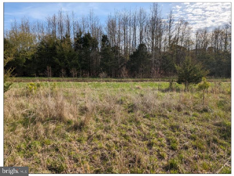 0 Old Eden Road Eden, MD 21822 - Photo 13 of 13