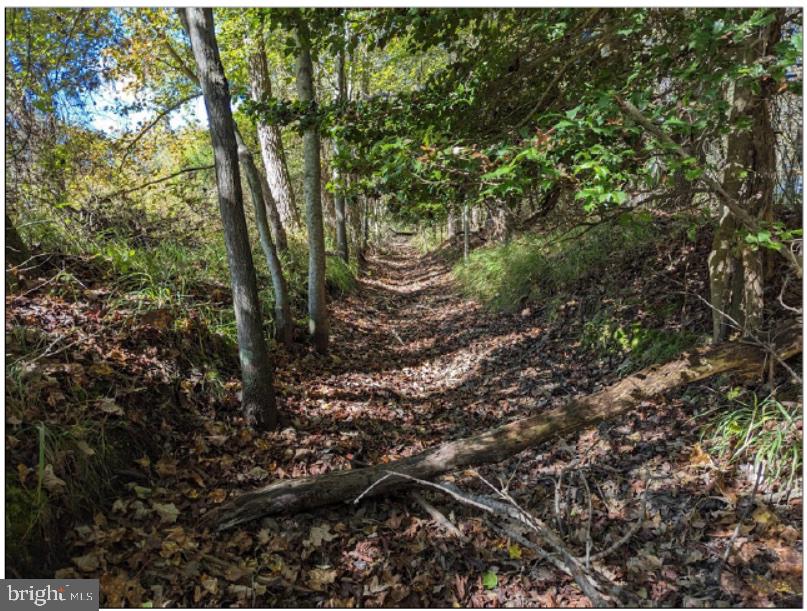 0 Old Eden Road Eden, MD 21822 - Photo 3 of 13