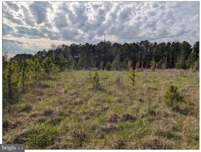 0 Old Eden Road Eden, MD 21822 - Photo 4 of 13