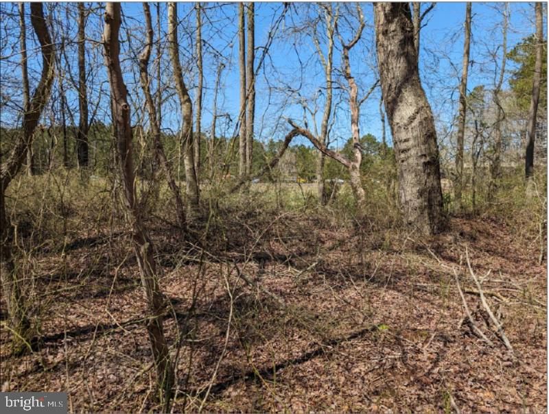 0 Old Eden Road Eden, MD 21822 - Photo 5 of 13