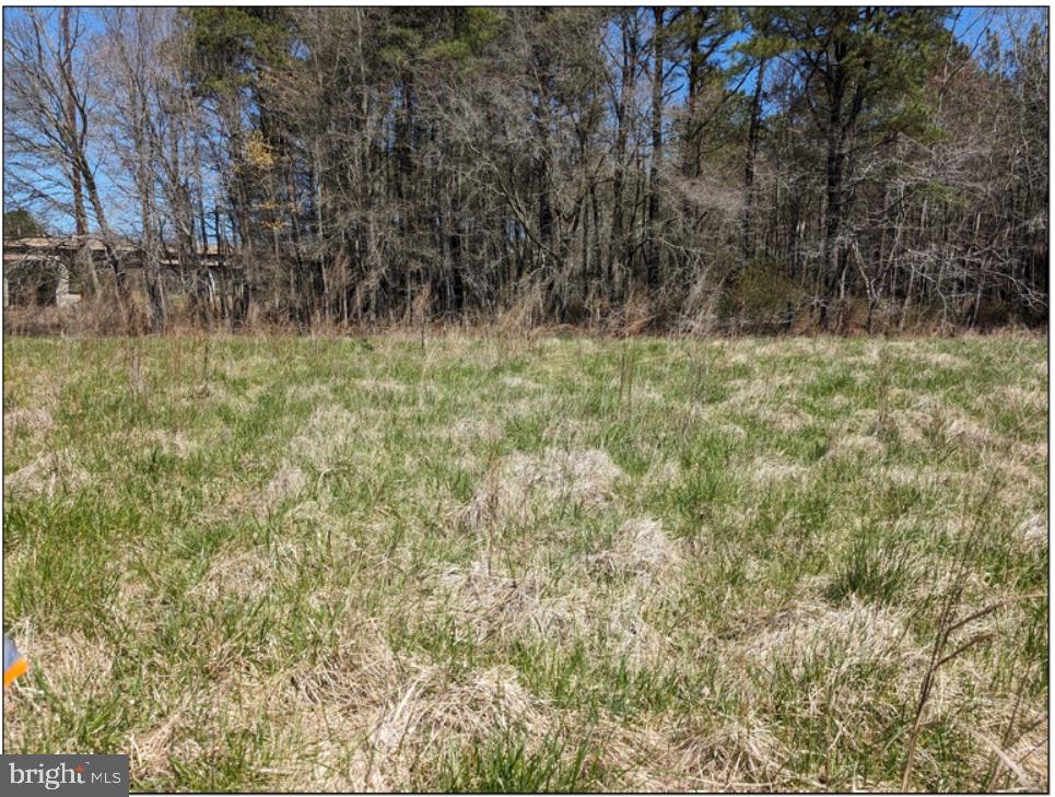 0 Old Eden Road Eden, MD 21822 - Photo 6 of 13