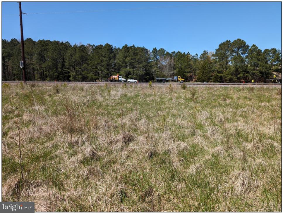 0 Old Eden Road Eden, MD 21822 - Photo 8 of 13