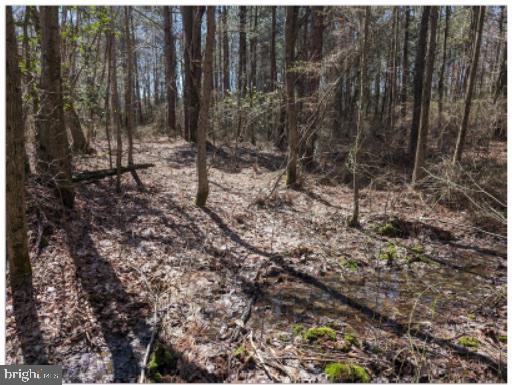 0 Old Eden Road Eden, MD 21822 - Photo 9 of 13