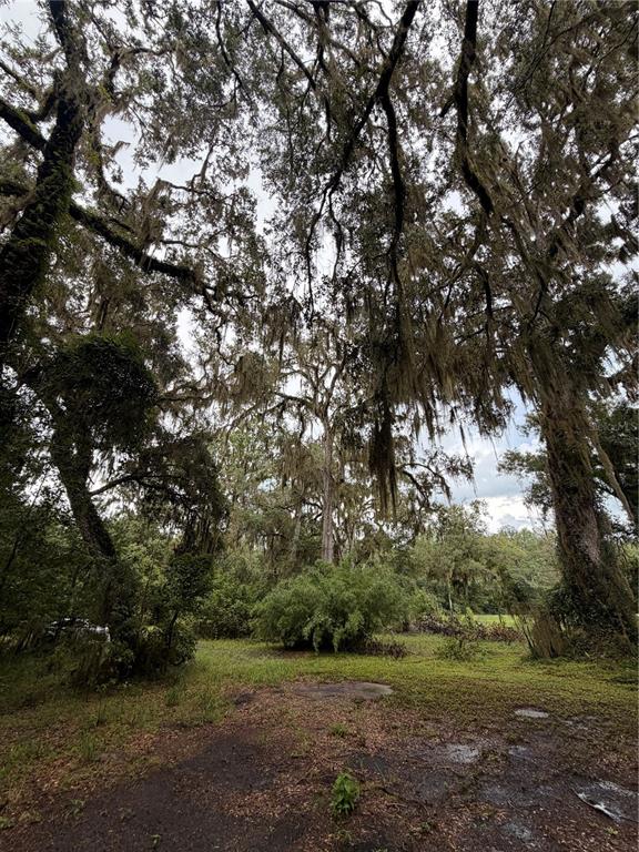 12602 Southwest Williston Road Micanopy, FL 32667 - Photo 18 of 21 Gallery Image 18