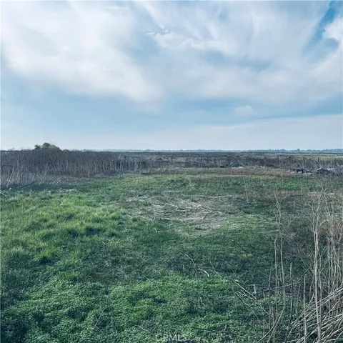 a view of a field of grass and trees