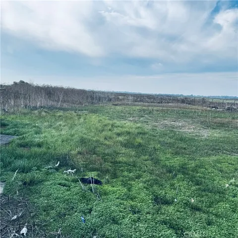 a view of a field with an ocean and trees in the background