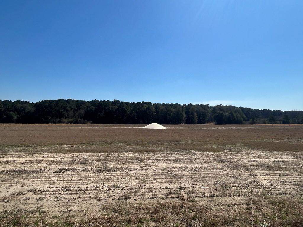 15-ac Webb Road Dothan, AL 36301 - Photo 14 of 33