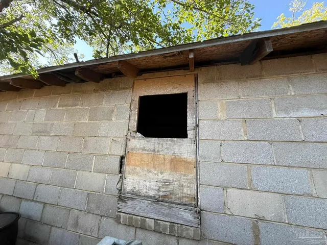 a view of a yard with plants and trees