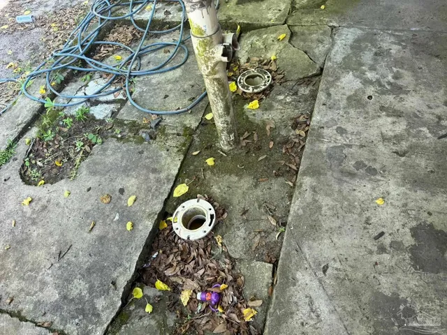 a view of a yard with trees