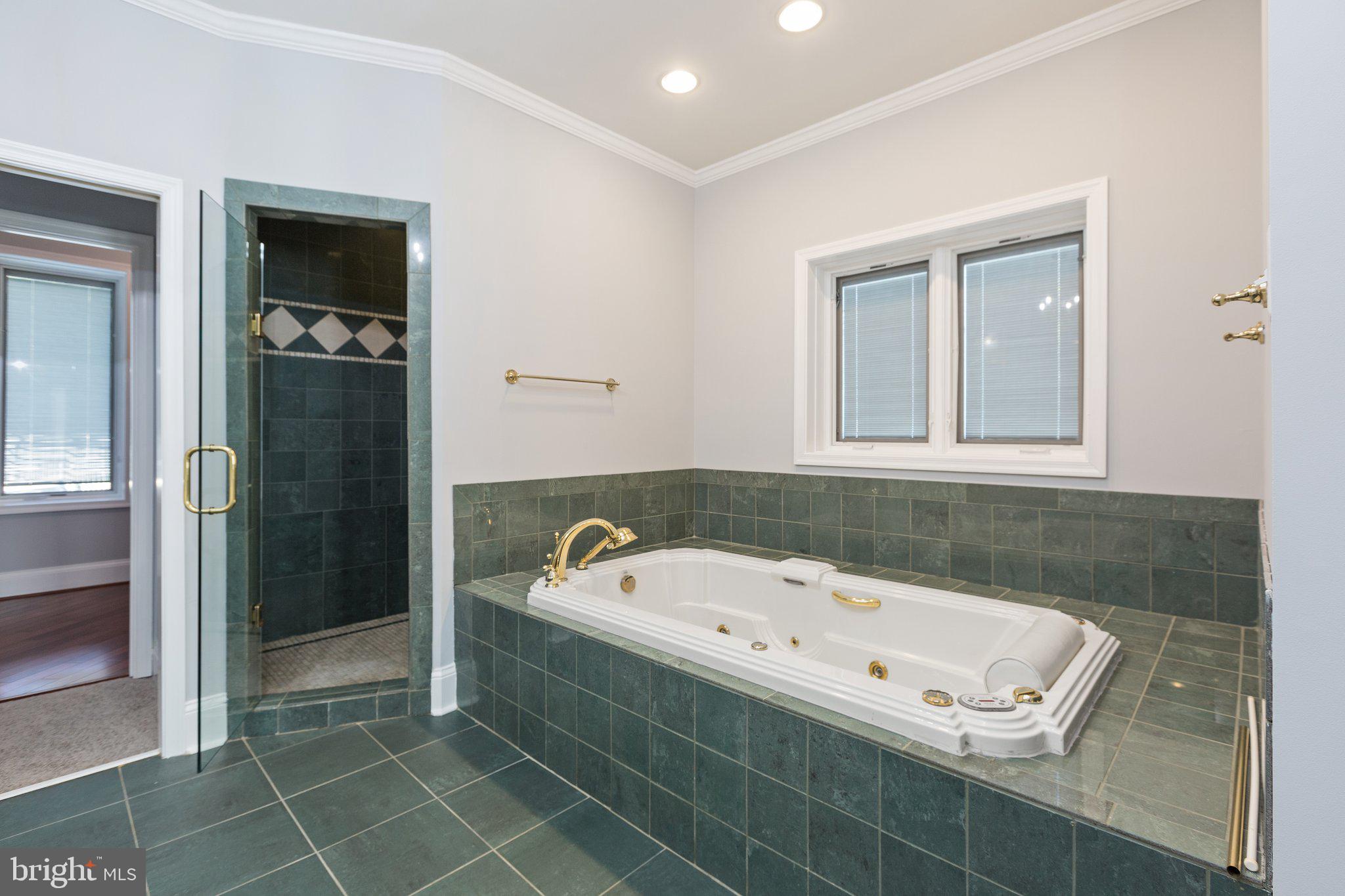 59 Caisson Road Fredericksburg, VA 22405 - Photo 109 of 150 Primary bath