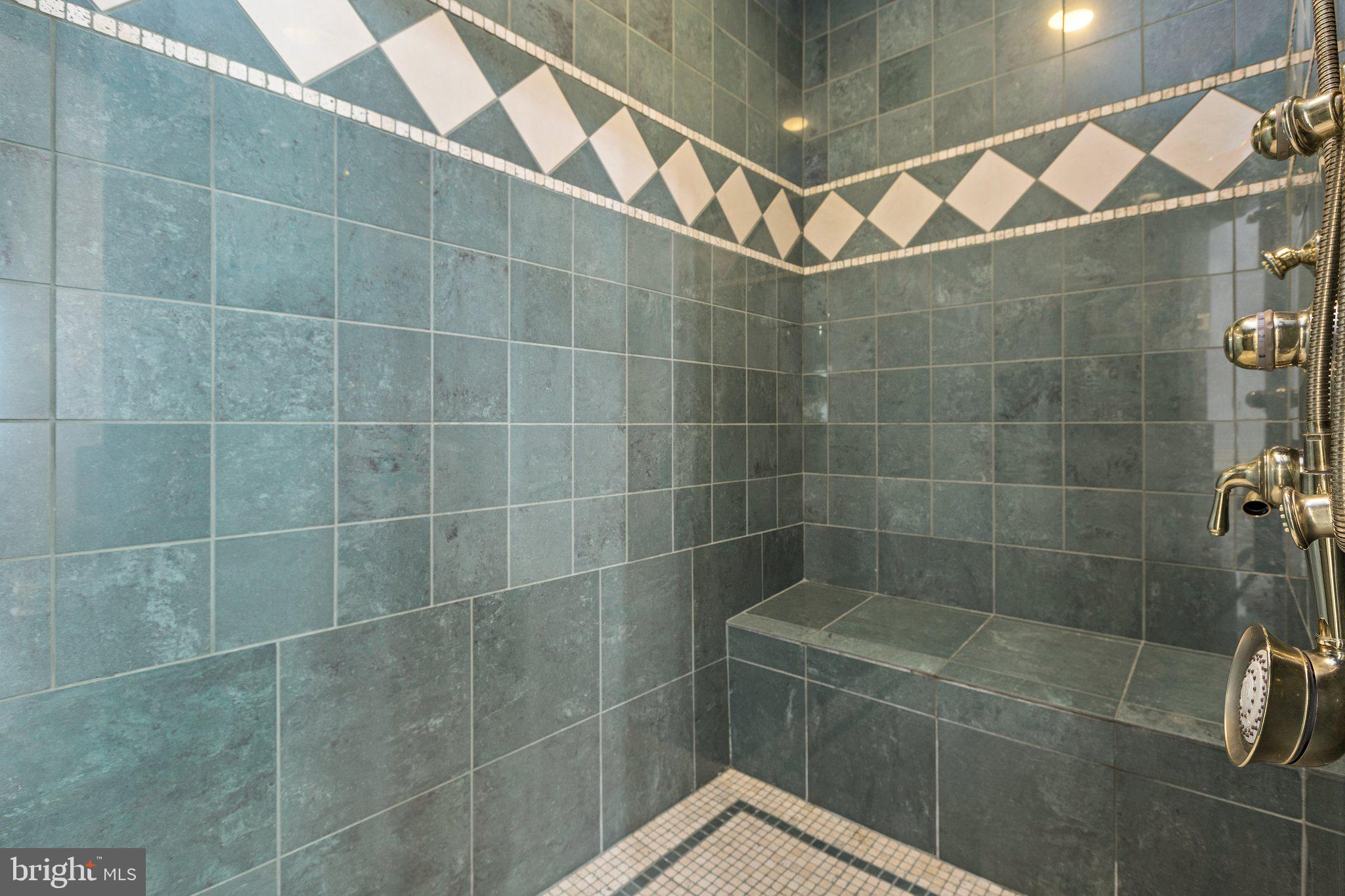 59 Caisson Road Fredericksburg, VA 22405 - Photo 111 of 150 Primary shower