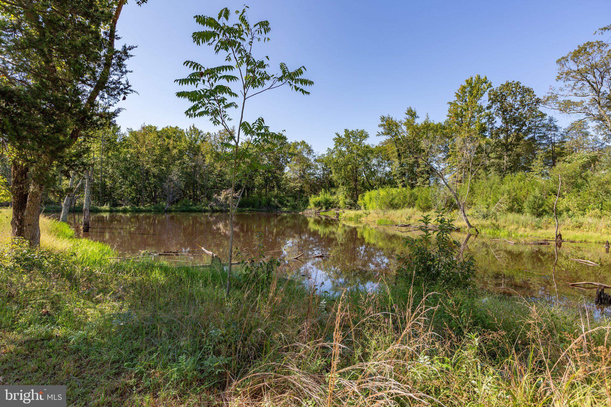 59 Caisson Road Fredericksburg, VA 22405 - Photo 35 of 150 Your Pond