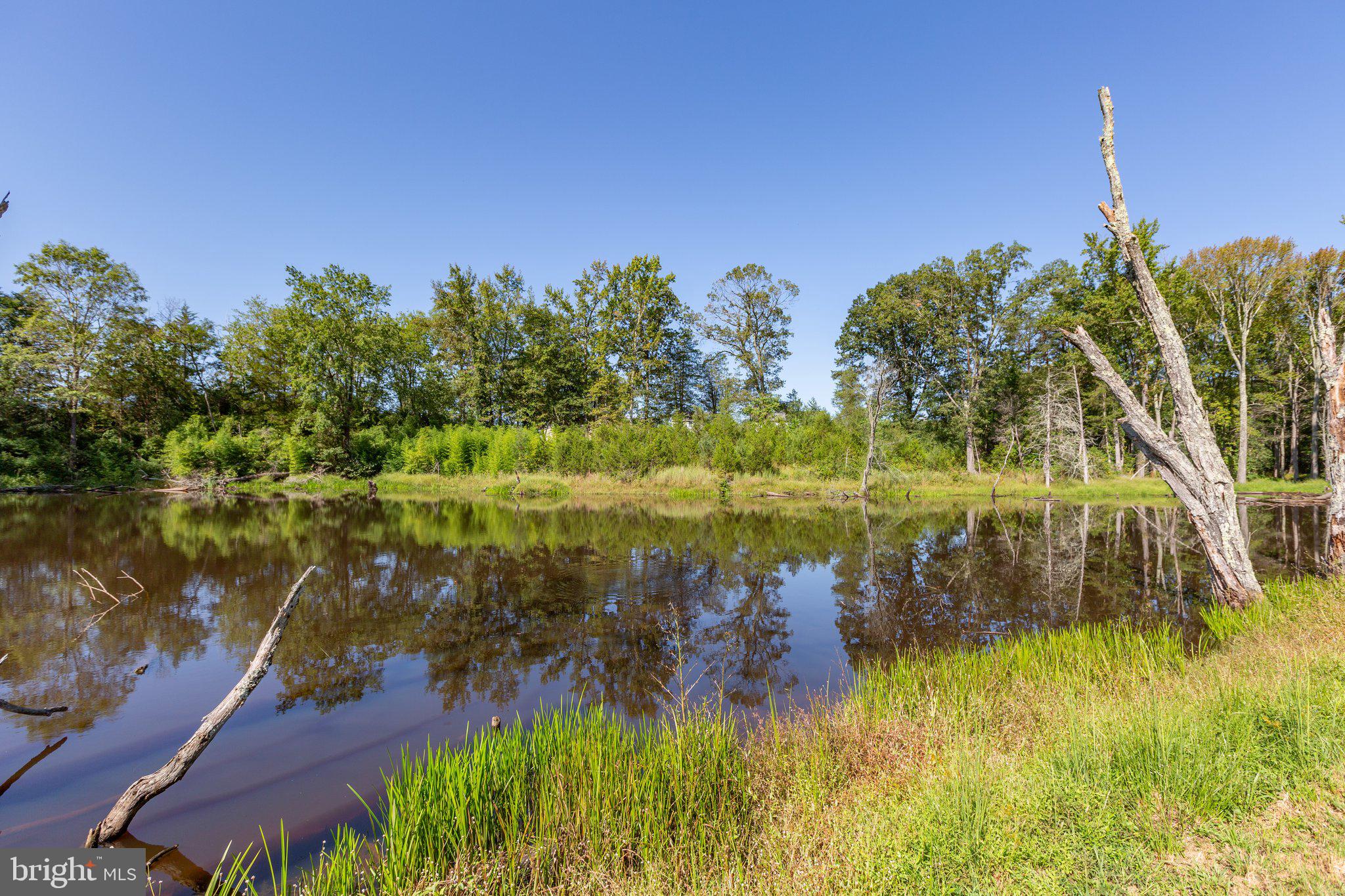 59 Caisson Road Fredericksburg, VA 22405 - Photo 40 of 150 Your pond