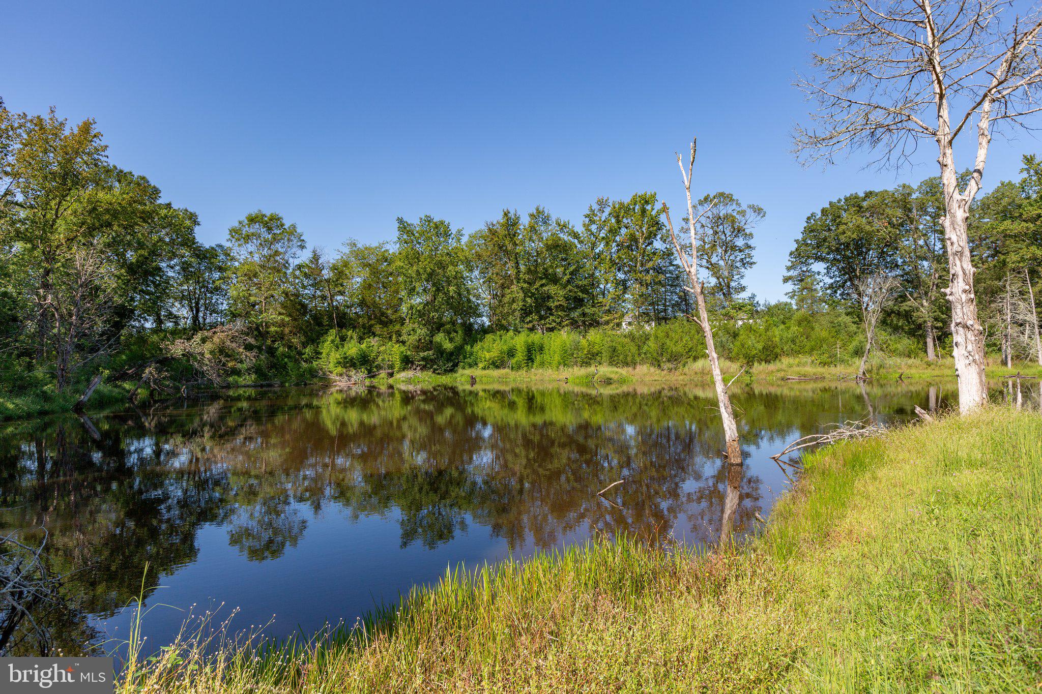 59 Caisson Road Fredericksburg, VA 22405 - Photo 42 of 150 Gallery Image 42