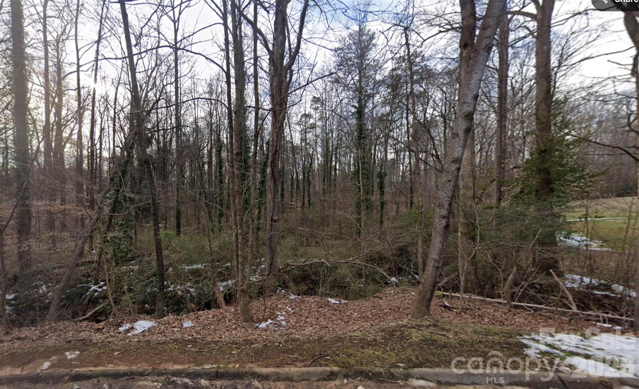 0 Briarcliff Road Rockwell, NC 28138 - Photo 8 of 25 a view of a forest filled with trees
