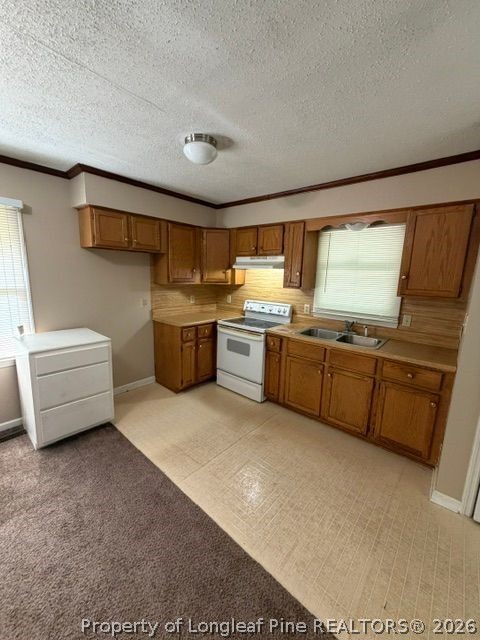 6648 Wire Grass Road Orrum, NC 28369 - Photo 3 of 9
