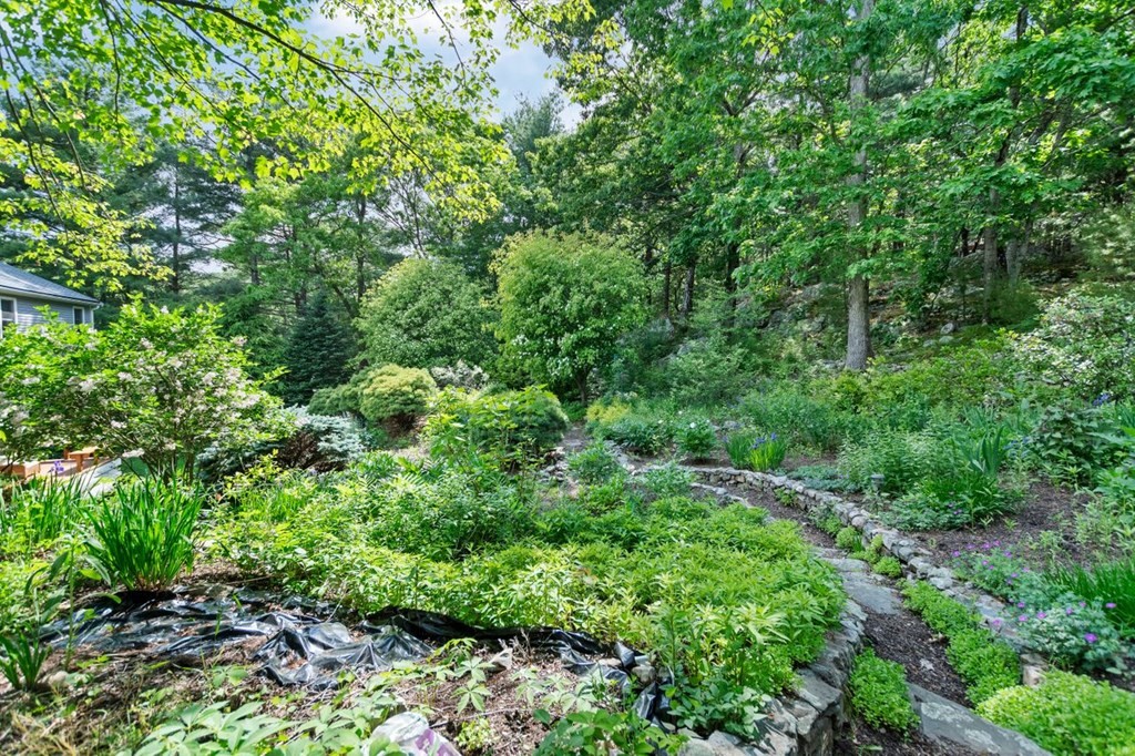 205 Woodland Road Westwood, MA 02090 - Photo 36 of 42 Gallery Image 36