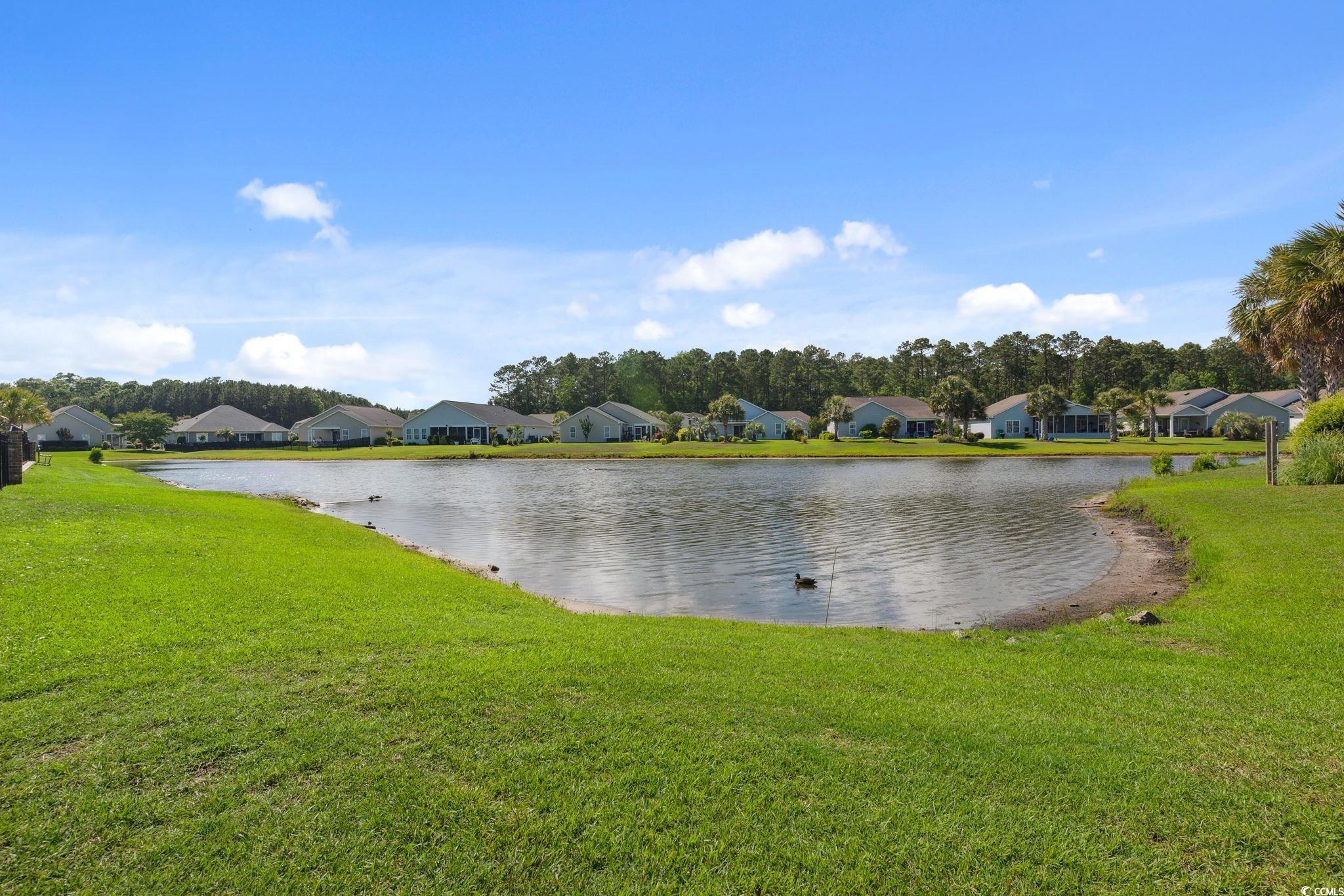 347 Kessinger Drive Surfside Beach, SC 29575 - Photo 29 of 40