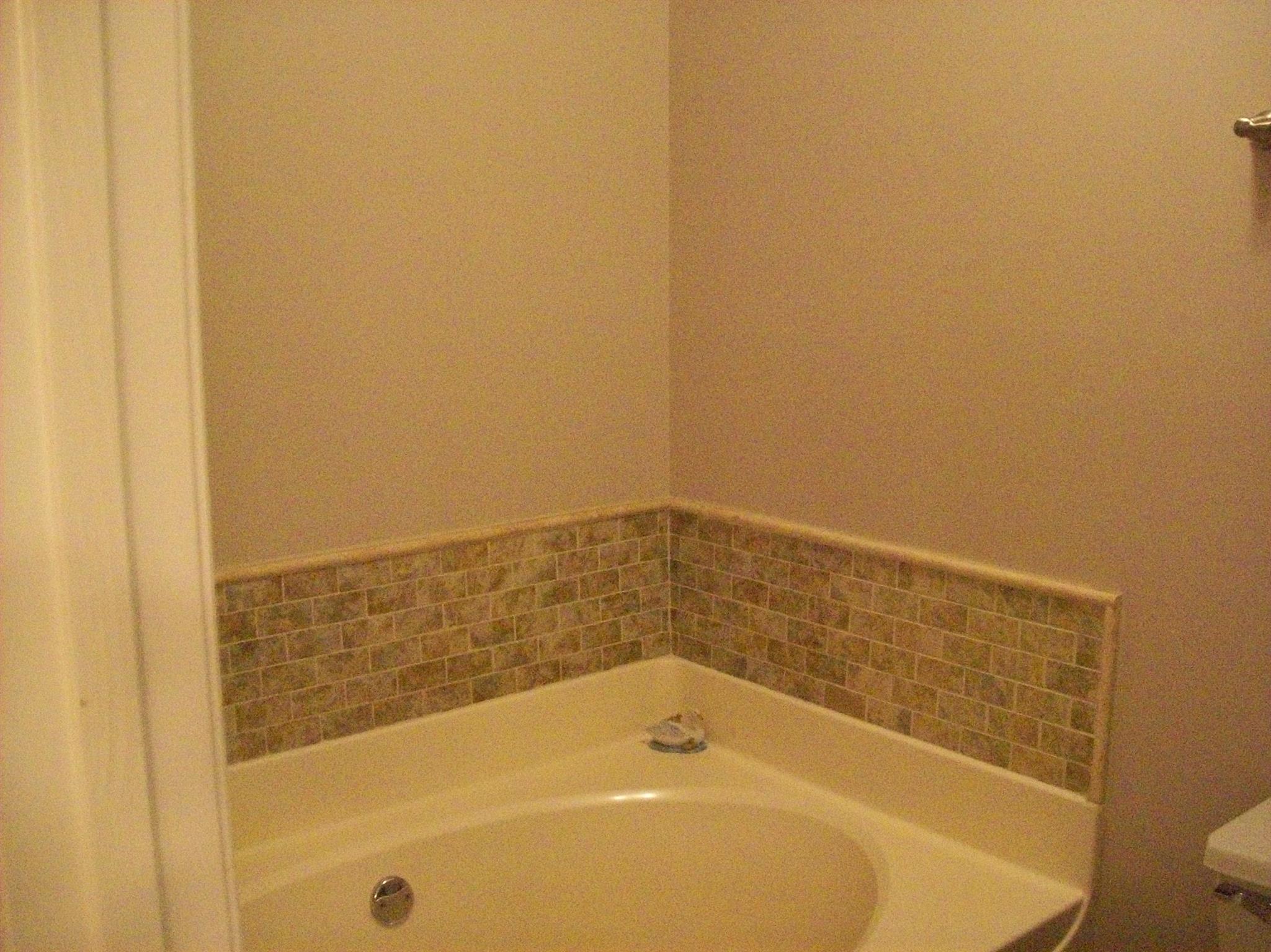 3637 Rutherford Drive Spring Hill, TN 37174 - Photo 17 of 25 a bathroom with a bathtub