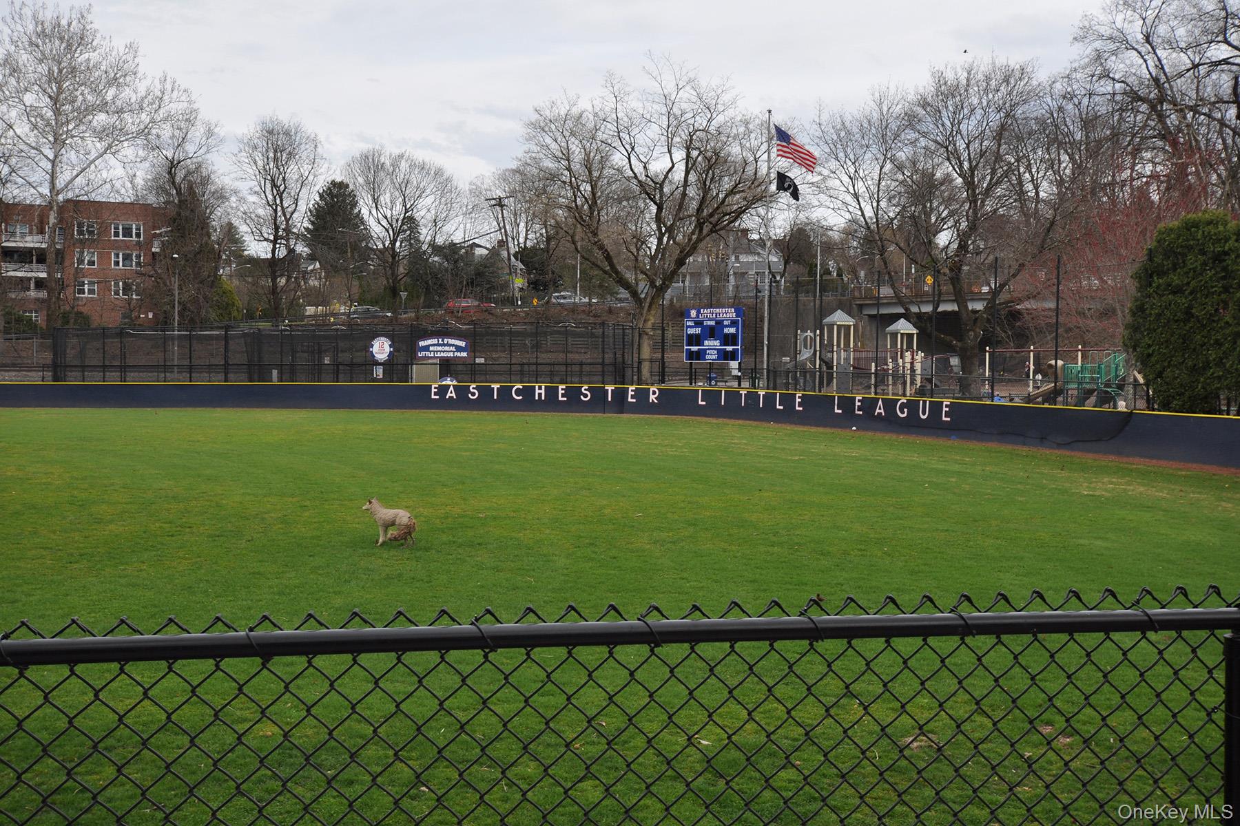 240 Garth Road, Unit 6B2 Scarsdale, NY 10583 - Photo 11 of 16