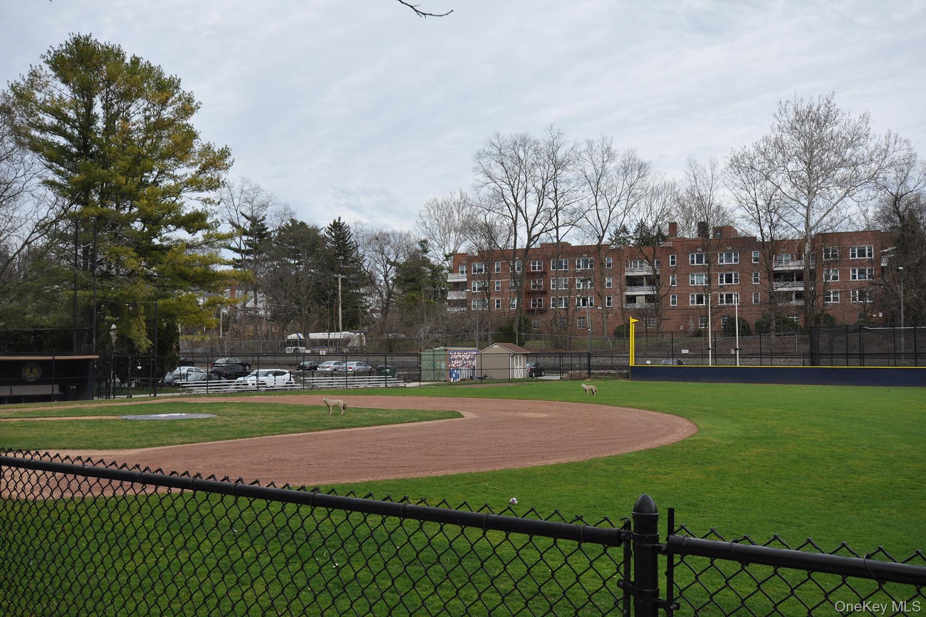 240 Garth Road, Unit 6B2 Scarsdale, NY 10583 - Photo 10 of 16