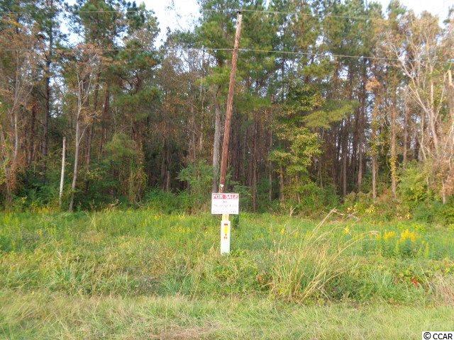 Black Creek Road Nichols, SC 29581 - Photo 1 of 2 Gallery Image 1
