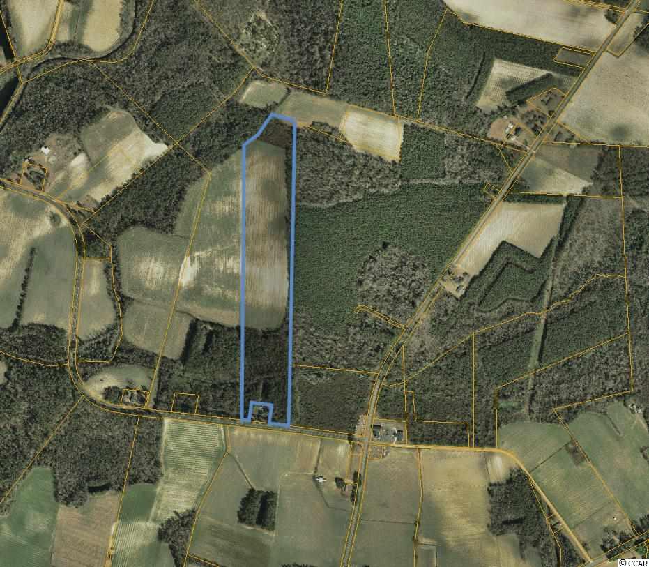 Black Creek Road Nichols, SC 29581 - Photo 2 of 2 Gallery Image 2