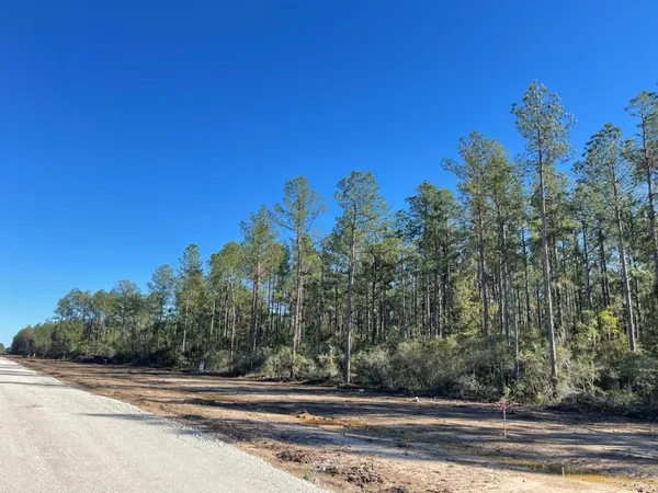 $280,000 | Tbd Black Cat Road, Sour Lake, TX 77659