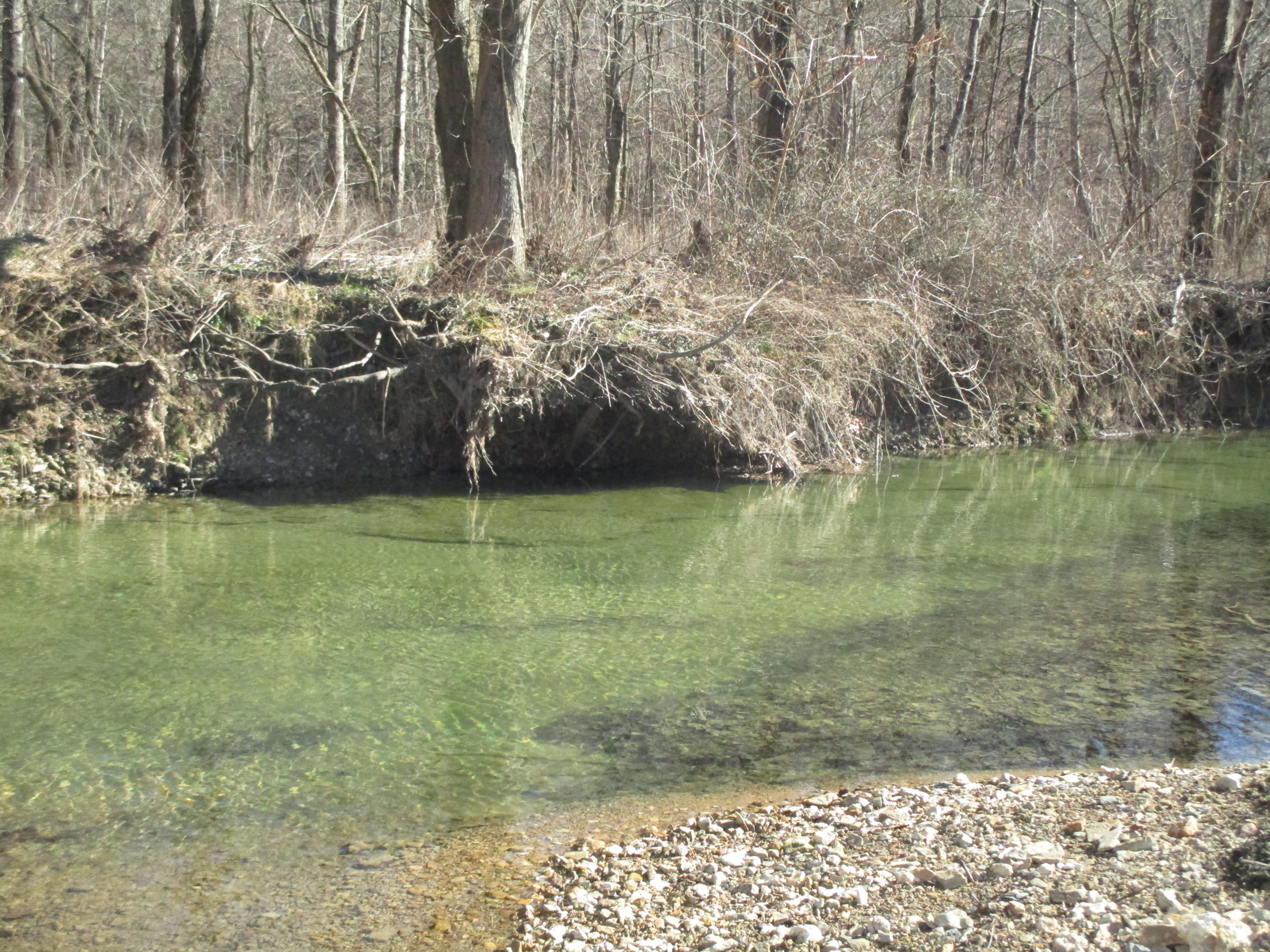528 Johnny Carpenter Road Waynesburg, KY 40489 - Photo 24 of 27 IMG_3141