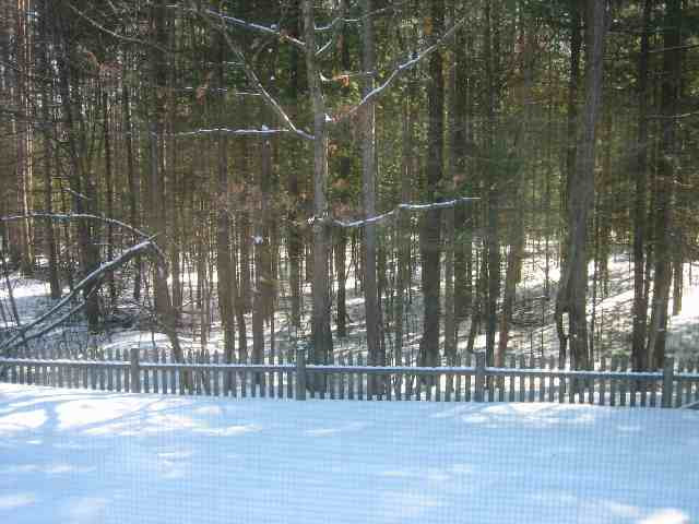 218 Thimbleberry Road Malta, NY 12020 - Photo 9 of 11 Photo 9