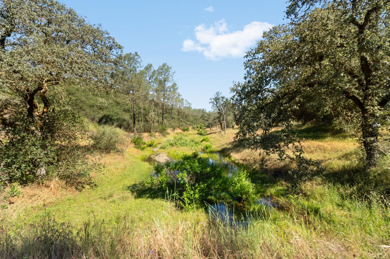1484 Oregon Gulch Road Oroville, CA 95965 - Photo 23 of 78