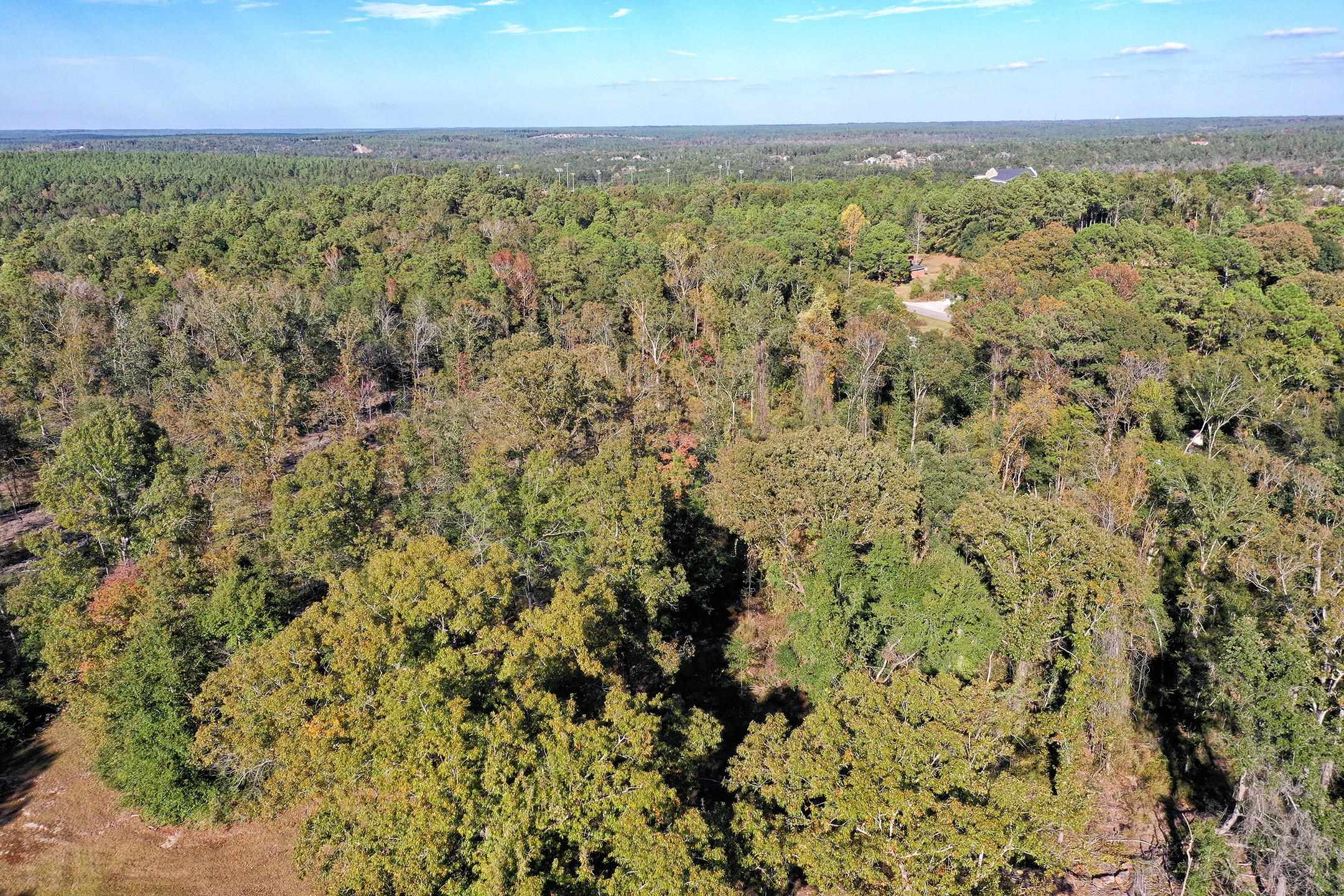 31330 Buzbee Road Daphne, AL 36527 - Photo 58 of 61 Aerial View