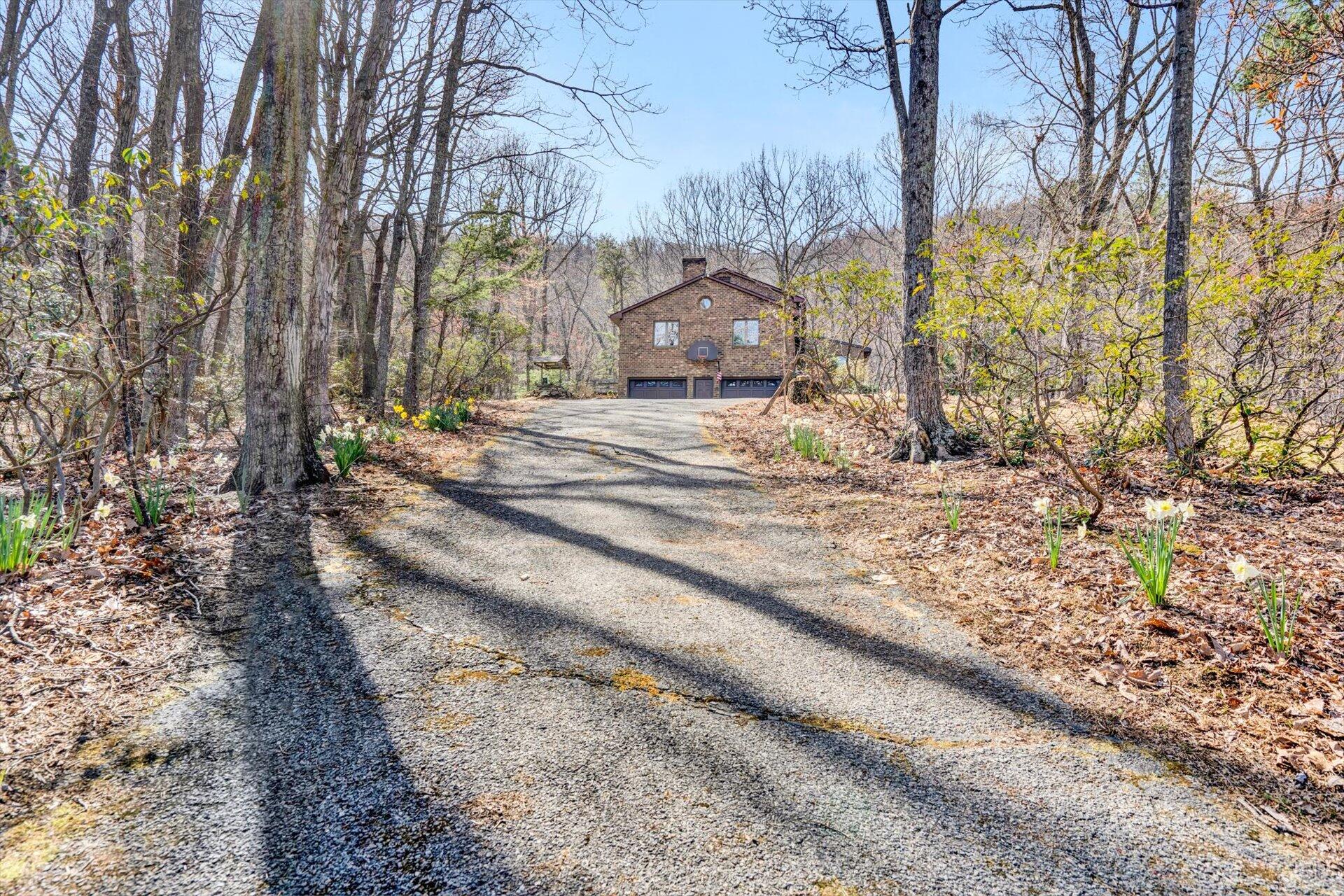 310 Timber Trail Lane Hardy, VA 24101 - Photo 4 of 47 5 acres = privacy