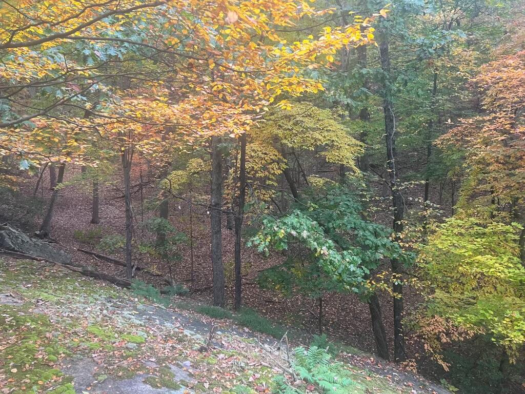 310 Timber Trail Lane Hardy, VA 24101 - Photo 45 of 47 Fall 2022