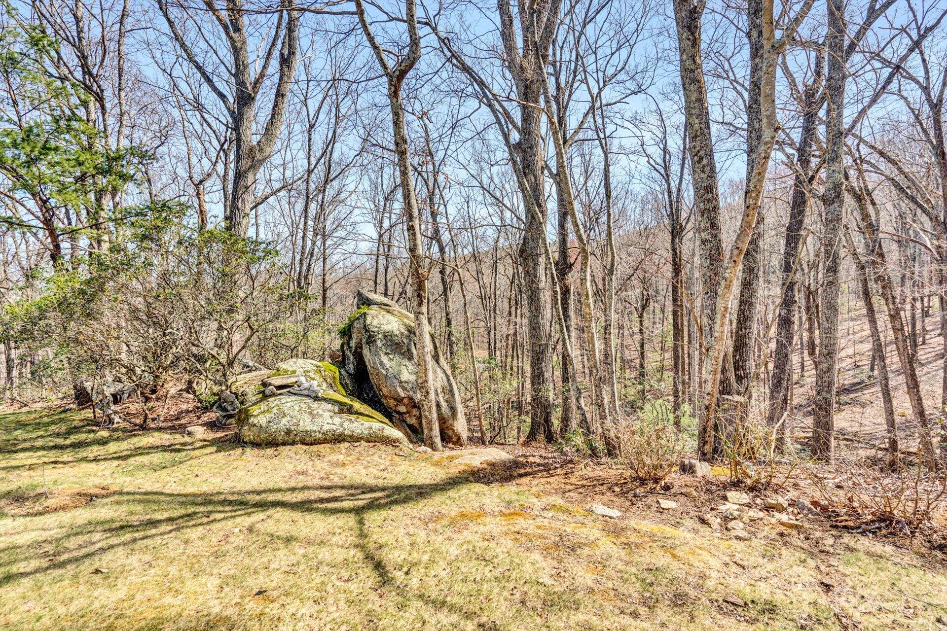 310 Timber Trail Lane Hardy, VA 24101 - Photo 5 of 47 5 acres w/ park-like setting